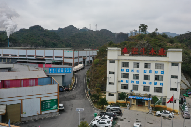 贵州天宇科技：职业卫生评价采样现场（贵州省霖生木业有限公司）封面