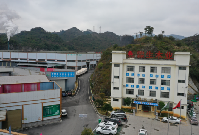 贵州天宇科技：职业卫生评价采样现场（贵州省霖生木业有限公司）封面